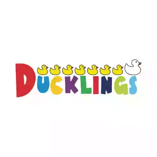 Ducklings Tattenhoe Park