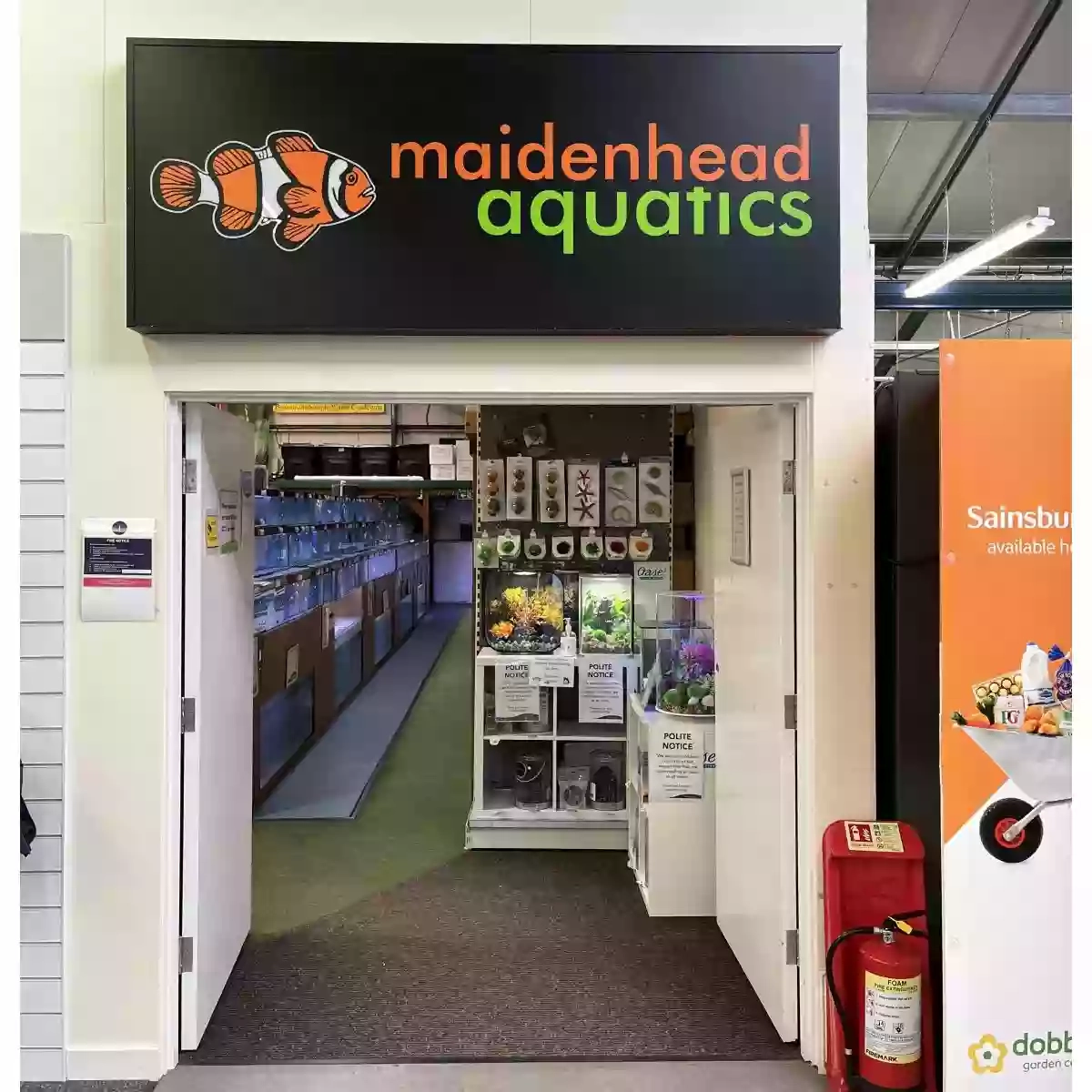 Maidenhead Aquatics Northampton