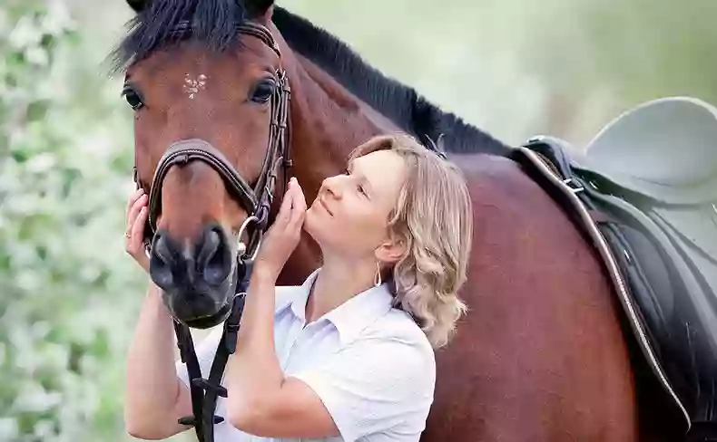 Fellowes Farm Equine Clinic