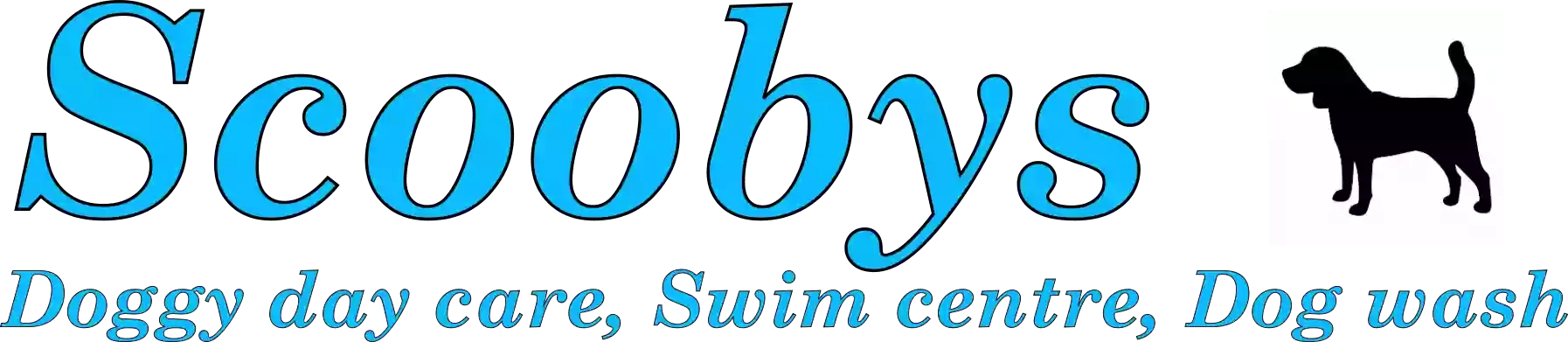 Scoobys Doggy Day Care, Swim Centre & Dog Wash