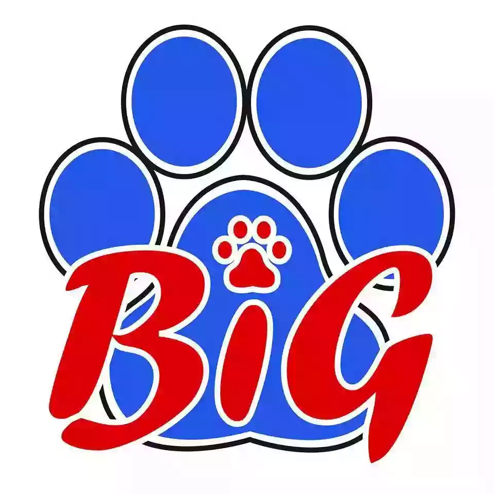 BiG Pet Services