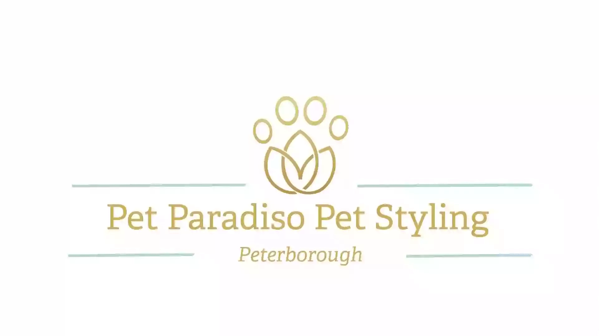 Pet Paradiso Pet Styling