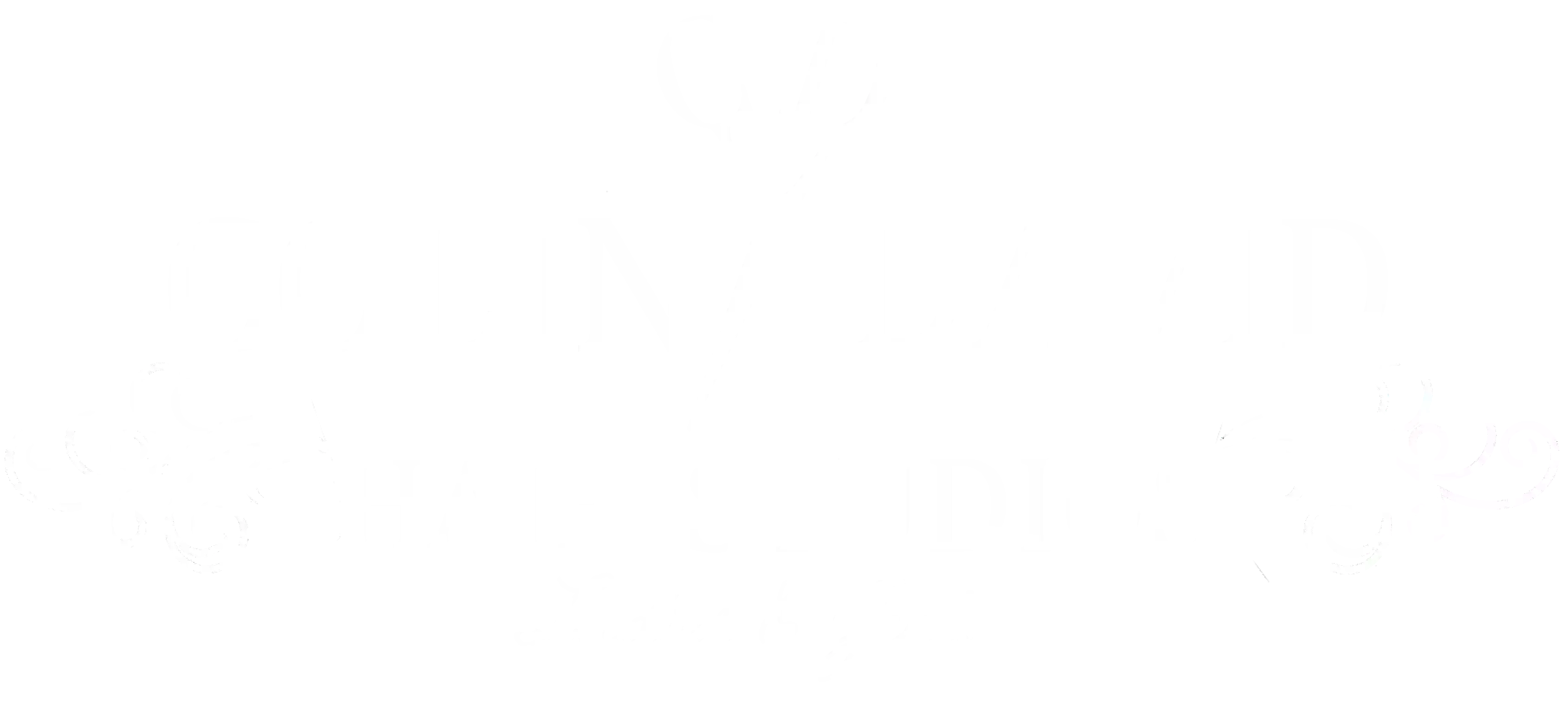 Colin David Hair Studios