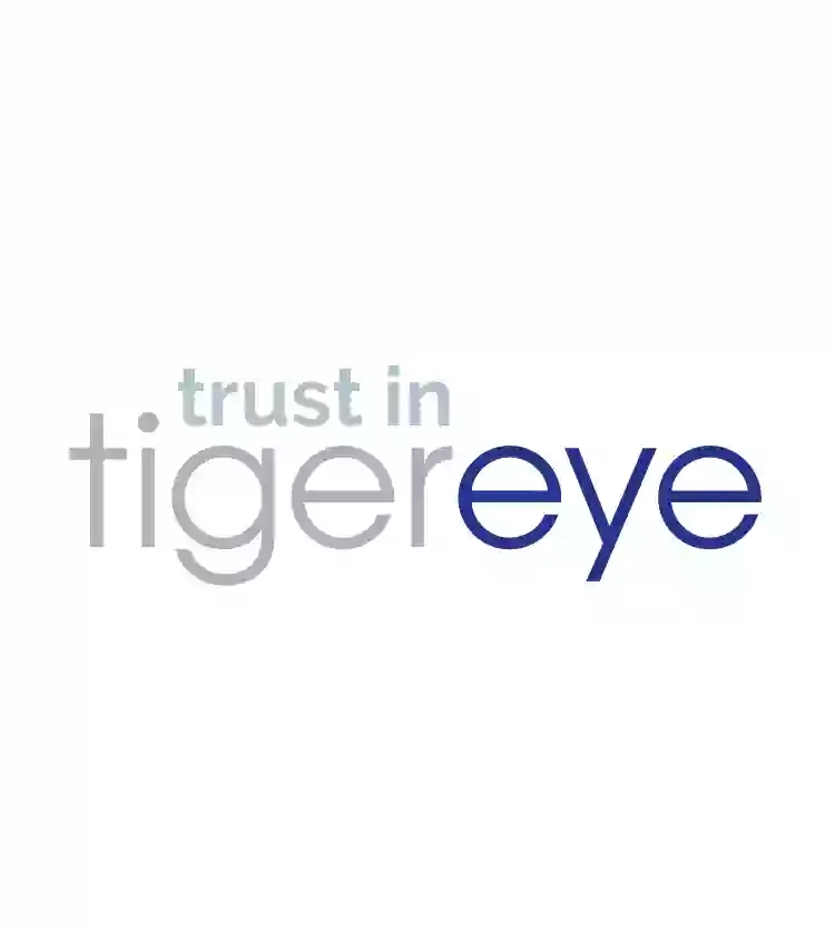 Tiger Eye [Tiger Eye Consulting Ltd]