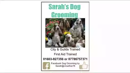 Dog Grooming by Sarah Horsford Norwich