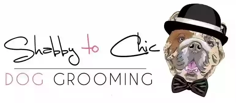 Shabby to Chic Dog Grooming