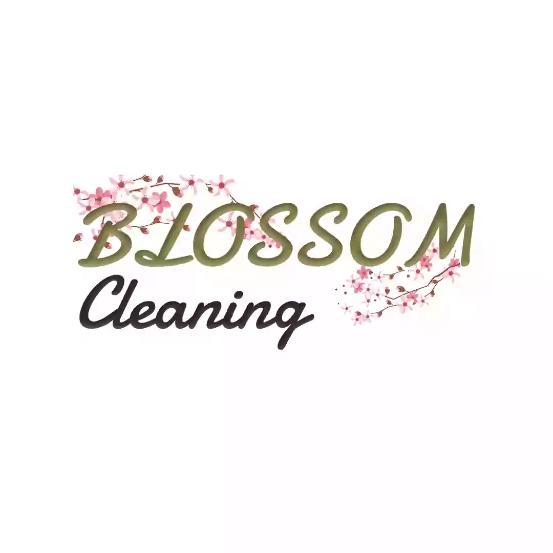 Blossom cleaning ltd
