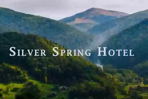 Silver Spring Hotel