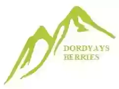 Ягоды Карпат / Dordyays Berries, LLC