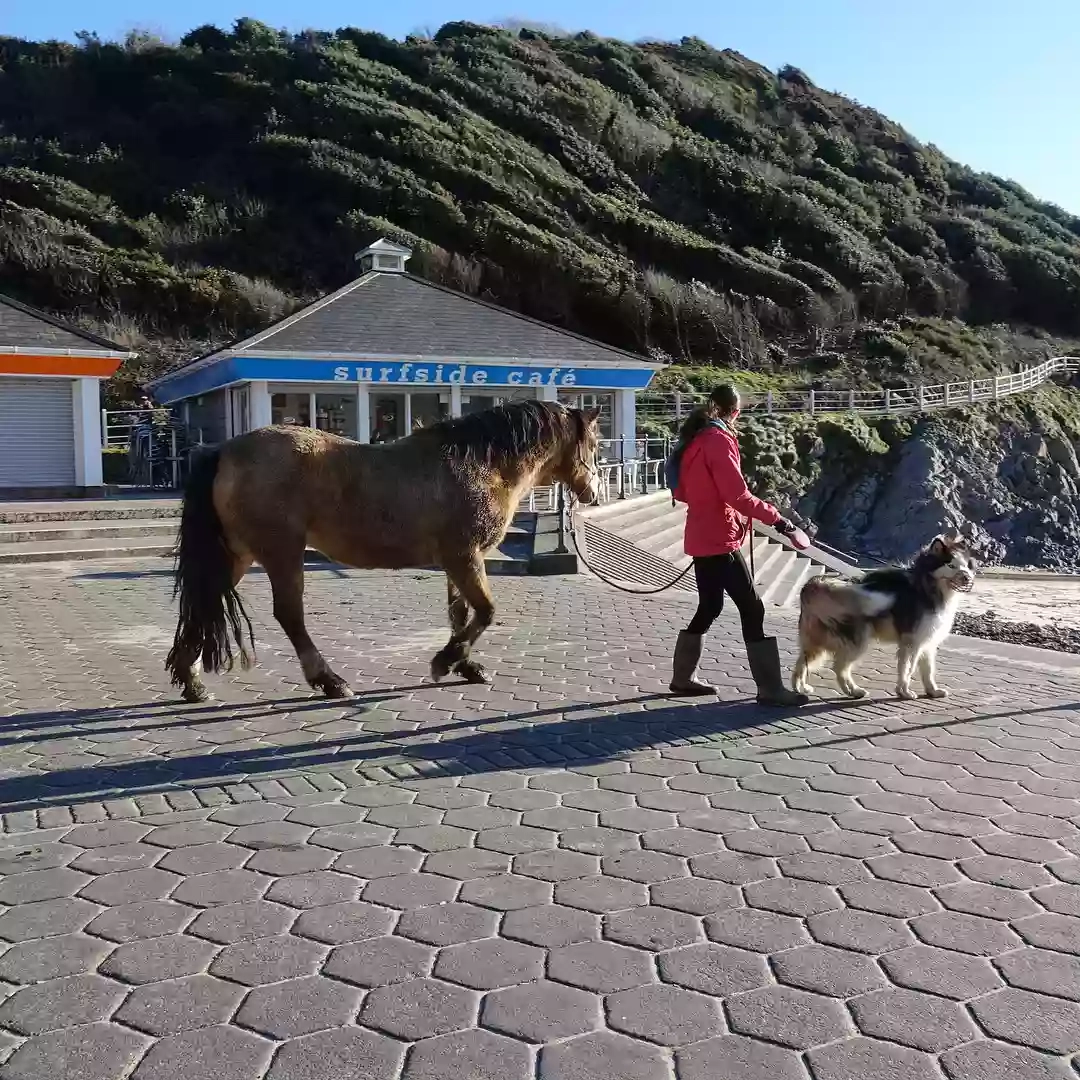 Surfside Cafe - Caswell Bay