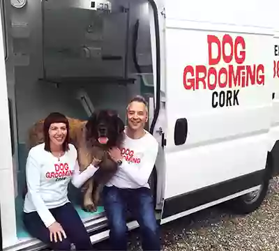 Dog Grooming Cork