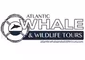 Atlantic Whale and Wildlife Tours