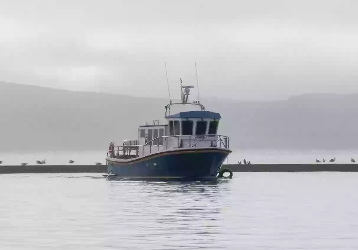 Valentia Island Cruises