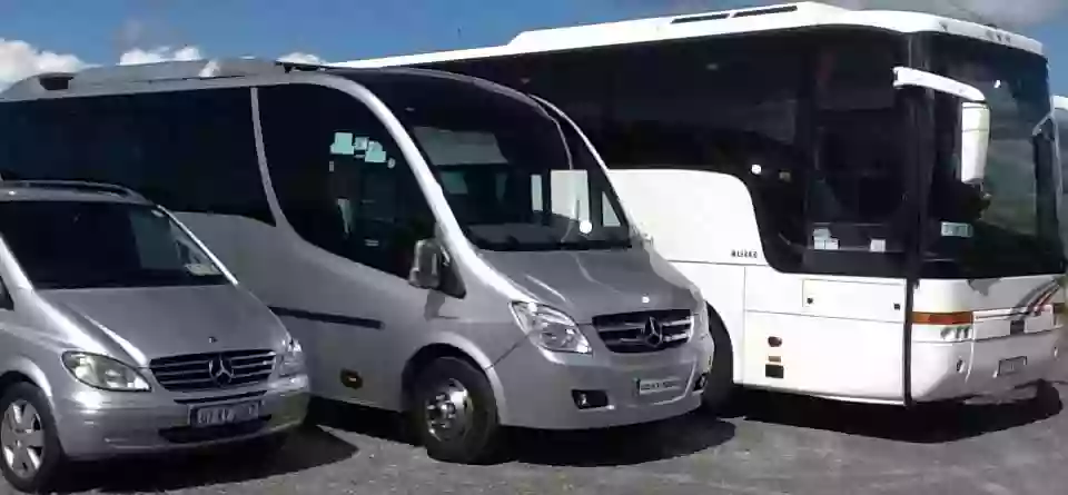 Bus Hire South Kerry, Taxi South Kerry, Coach Hire South Kerry with Goggins