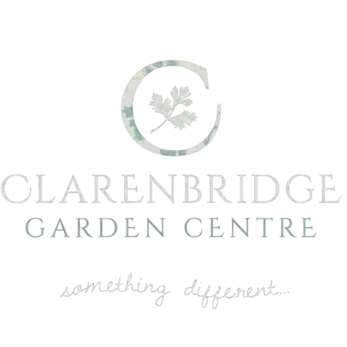 Clarenbridge Garden Centre @ Blackwater