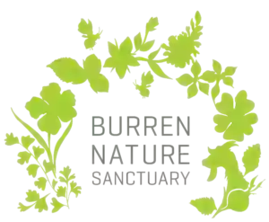 Burren Nature Sanctuary & Cafe