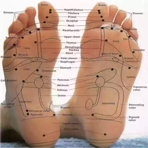 Reflexology Pure & Simple