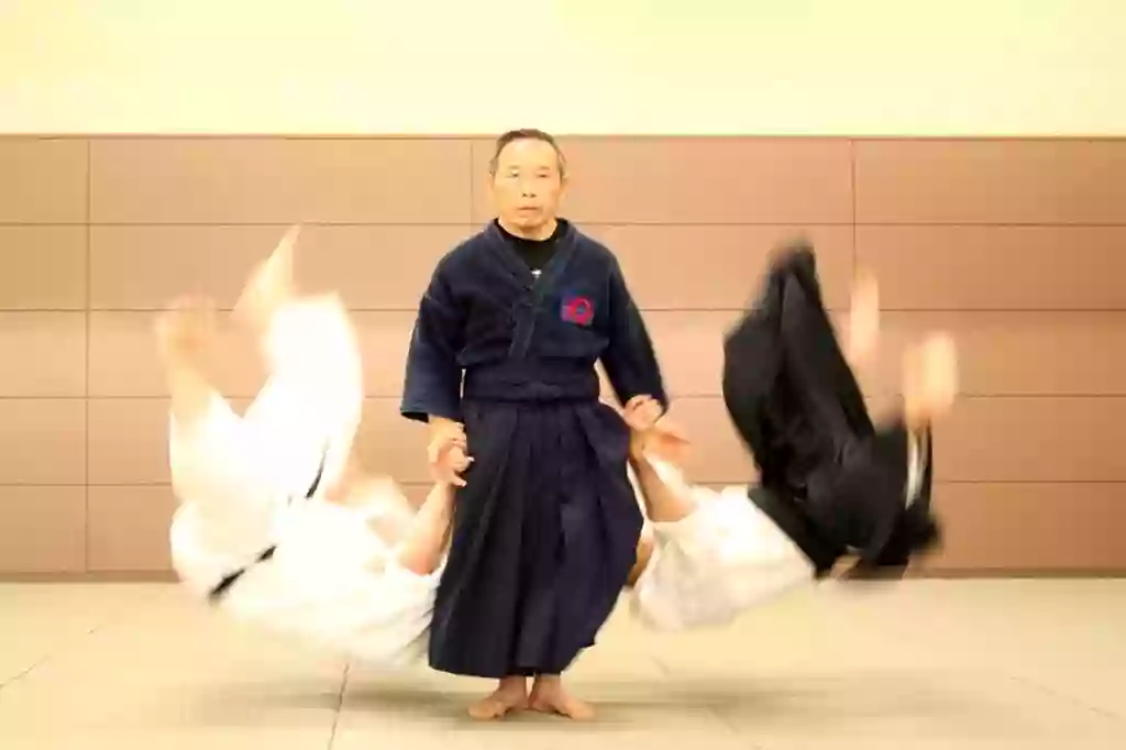 muden juku aikijujutsu