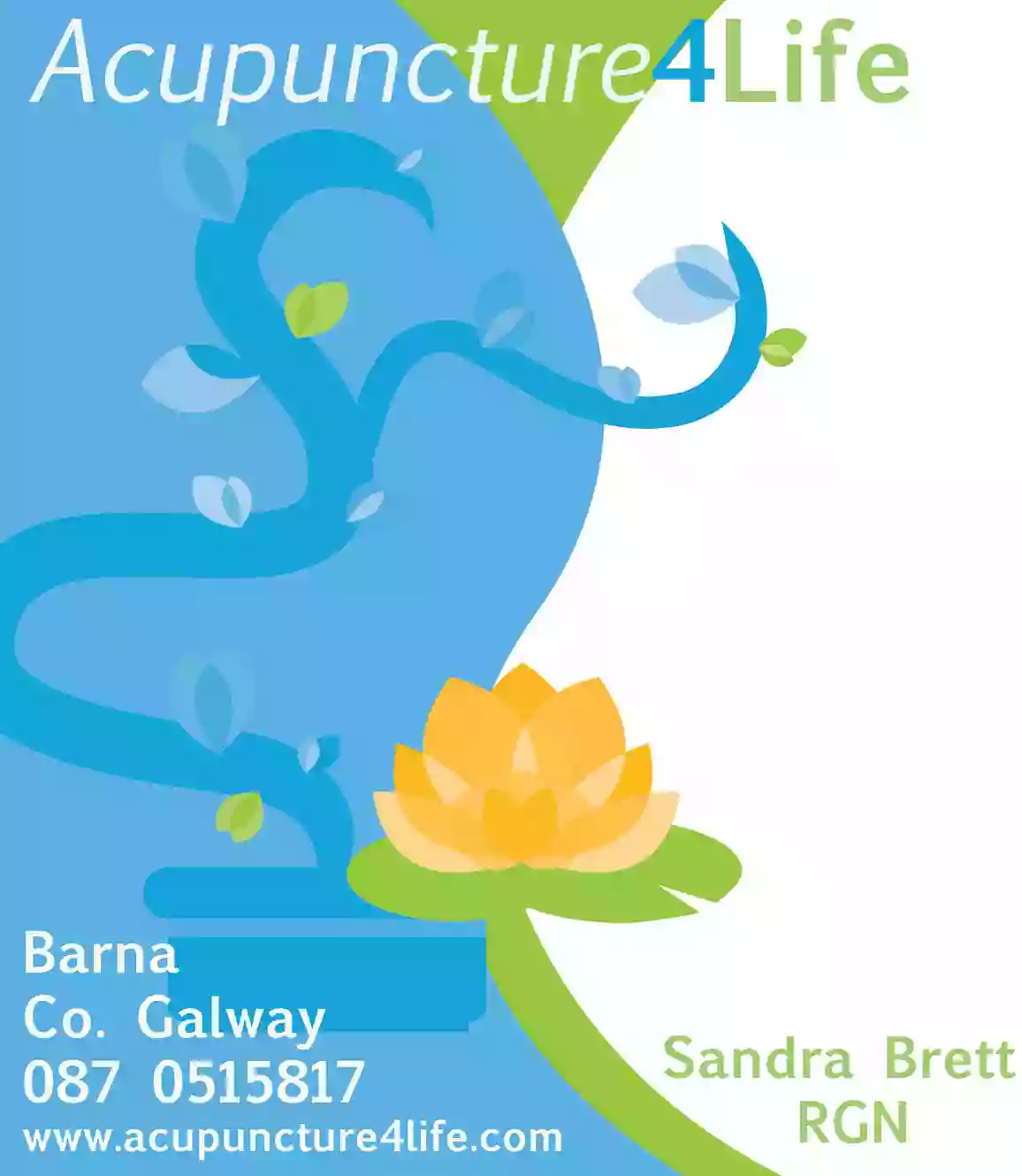 Acupuncture 4 Life Clinic Galway