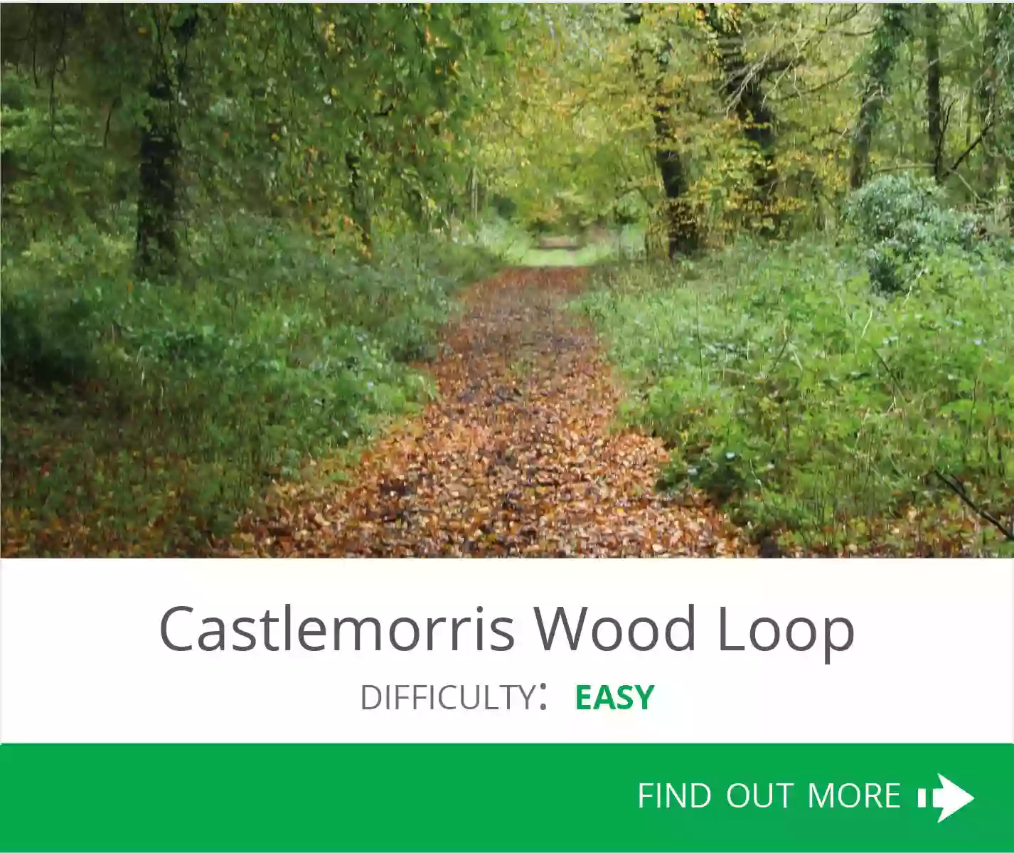 Castlemorris Woods
