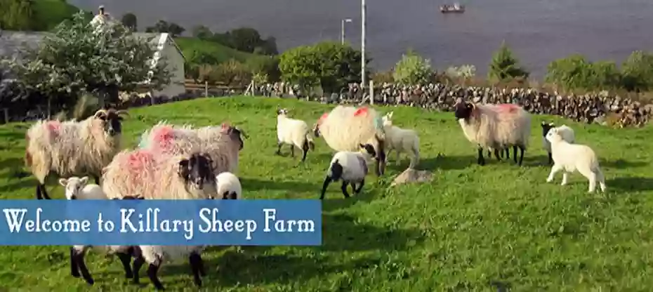 Killary Sheep Farm