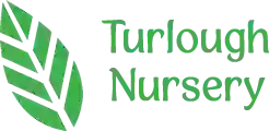 Turlough Nursery