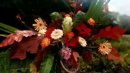Flowers delivery