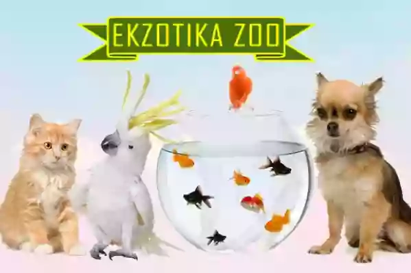 Екзотика Zoo