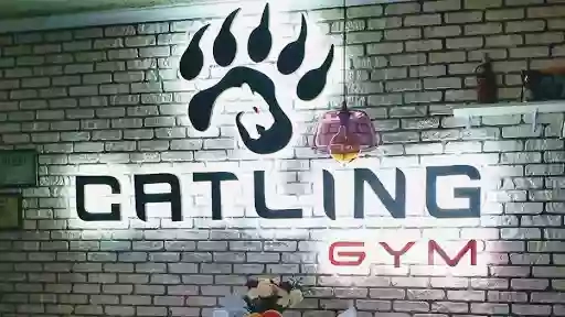 Catling Gym fitness тренажерный зал