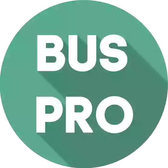 Buspro24: Автобус Николаев - Крым - Николаев