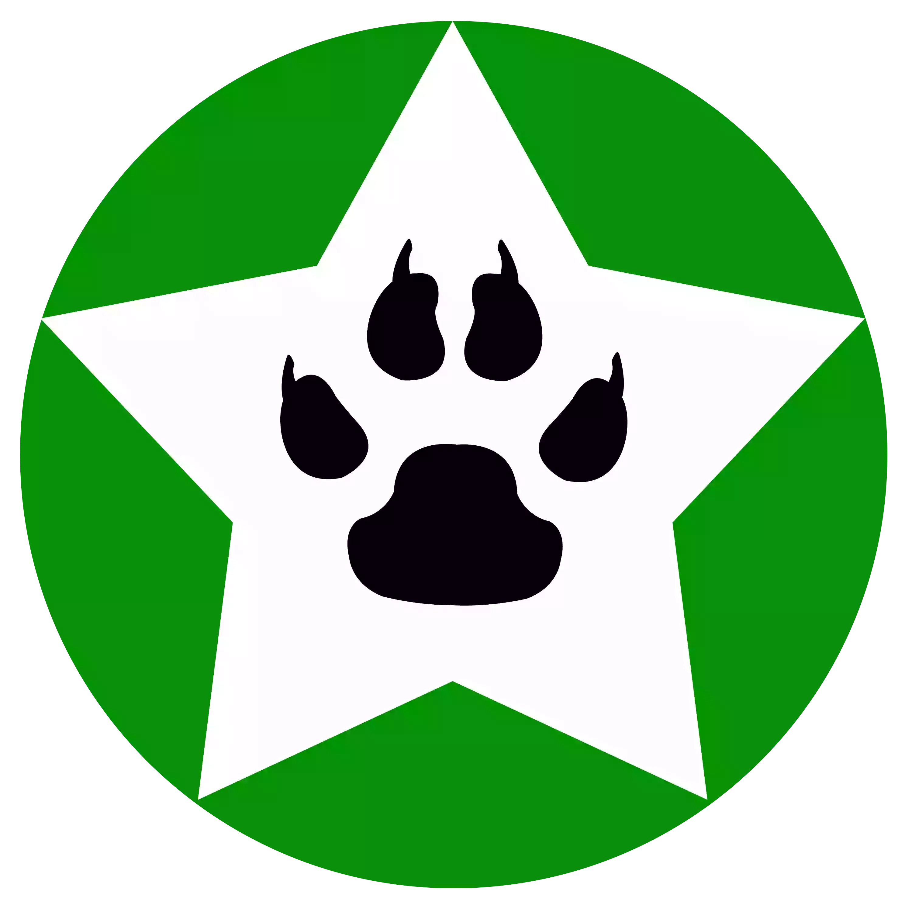 Интернет-магазин товаров для животных - dogstars.com.ua