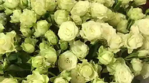 Магазин квітів