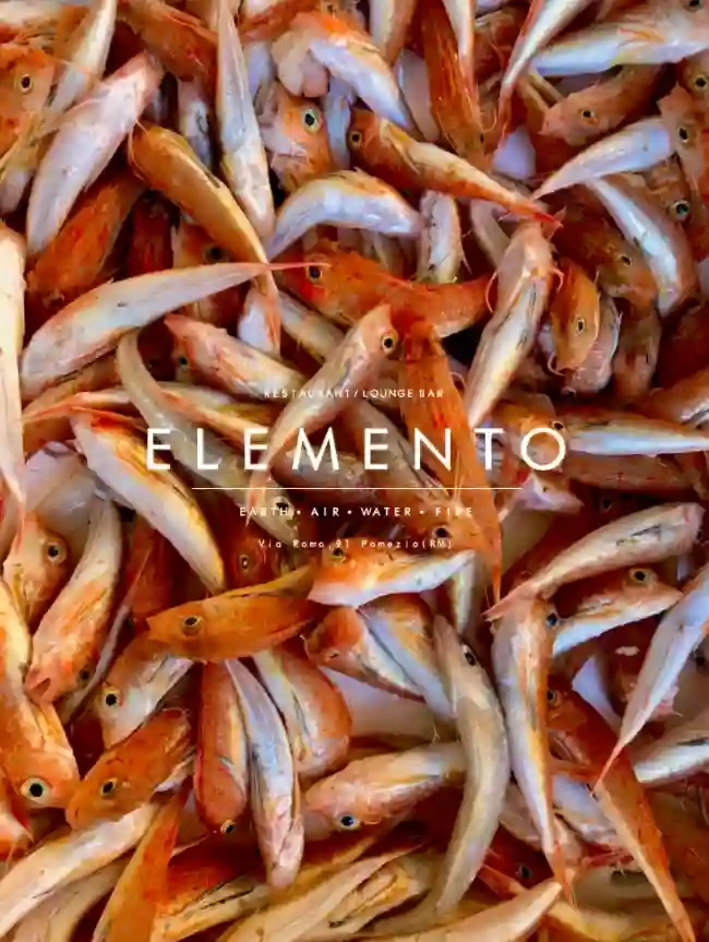 Elemento Restaurant