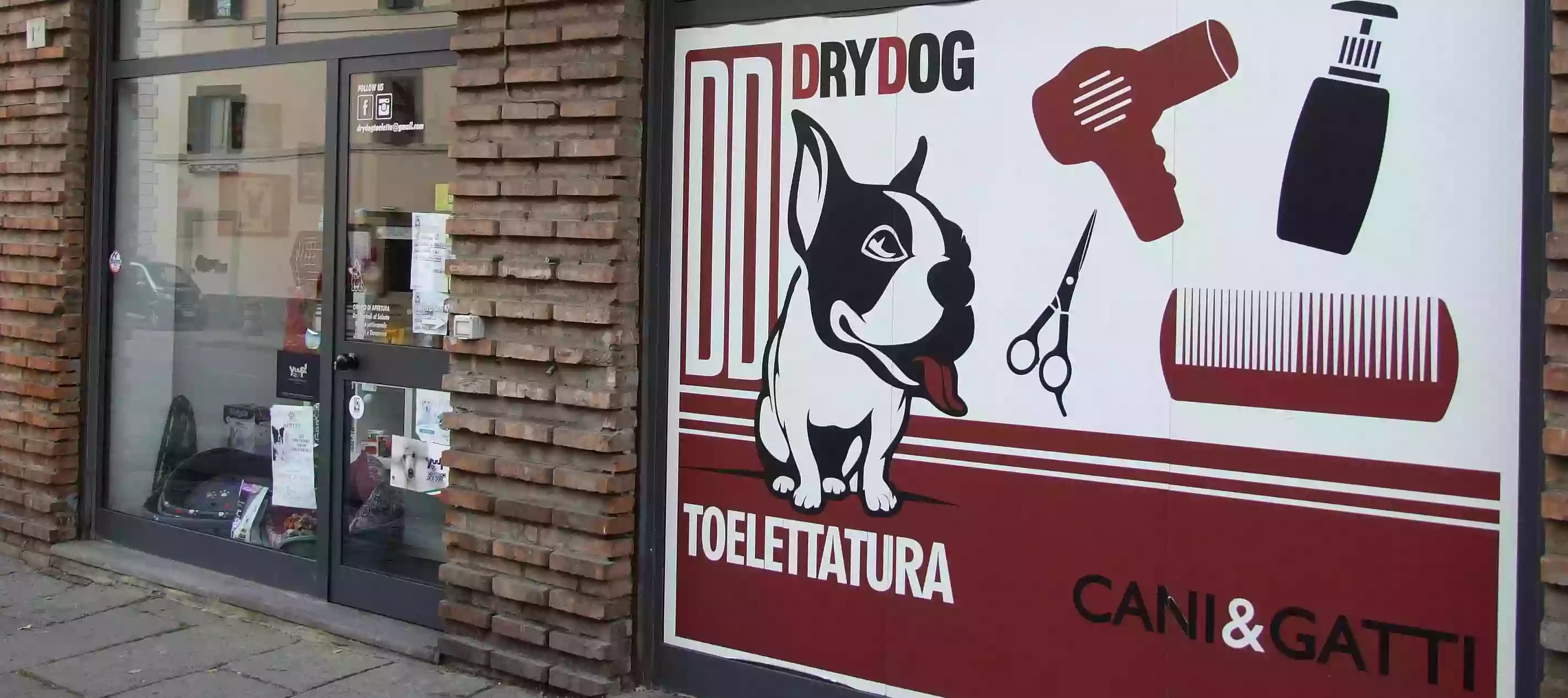 Drydog Toelettatura Viterbo