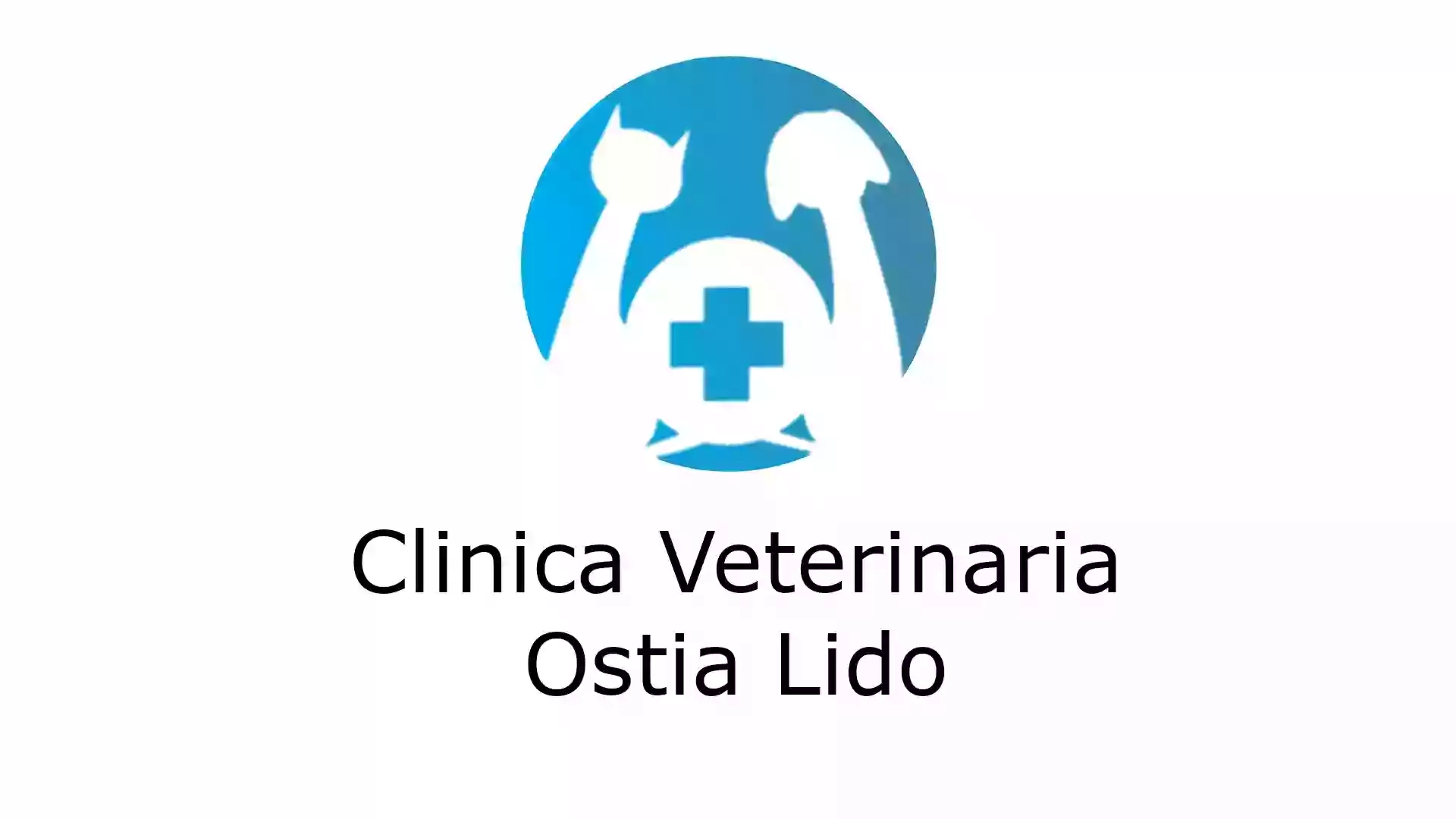 Clinica Veterinaria Ostia Lido