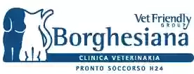 Clinica Veterinaria Borghesiana