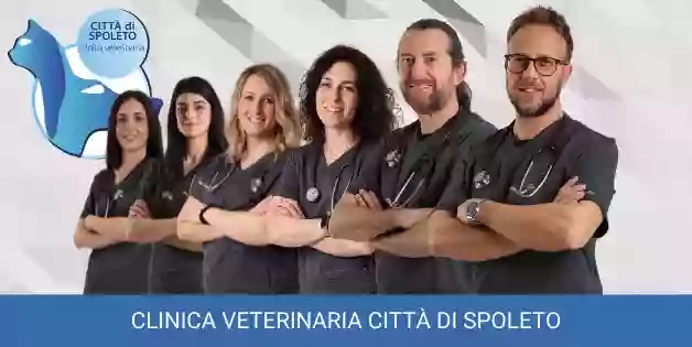 Clinica Veterinaria Citta' di Spoleto Dr Simone Dr Bartoloni Dr.Sa Dimarcantonio