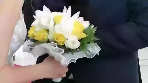 FIORI, PIANTE. ARTICOLI DA REGALO