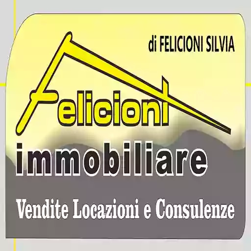 IMMOBILIARE FELICIONI DI FELICIONI SILVIA