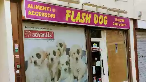 Flash Dog Toeletta E Alimenti per animali