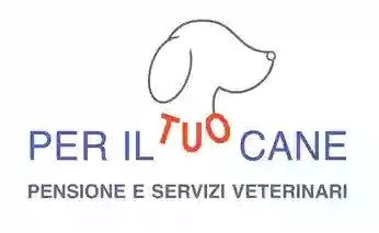 Per il tuo cane - Pensione per animali a Campagnano di Roma