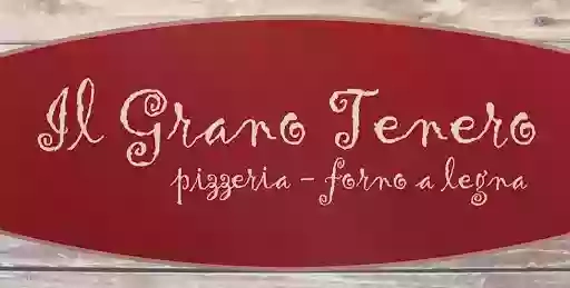 Il grano tenero