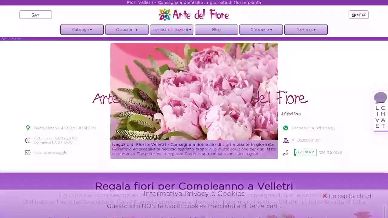 Consegna fiori a Velletri - Fiorista Arte del fiore consegna fiori a domicilio