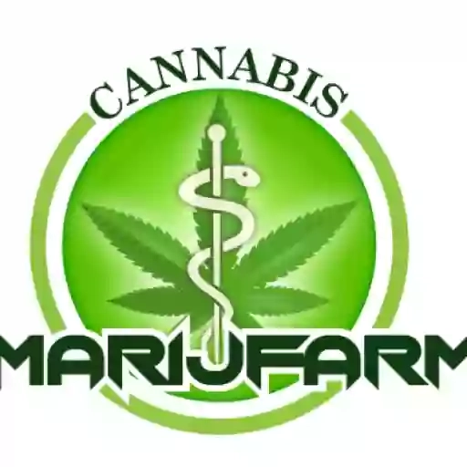 marijfarmcannabis cbd