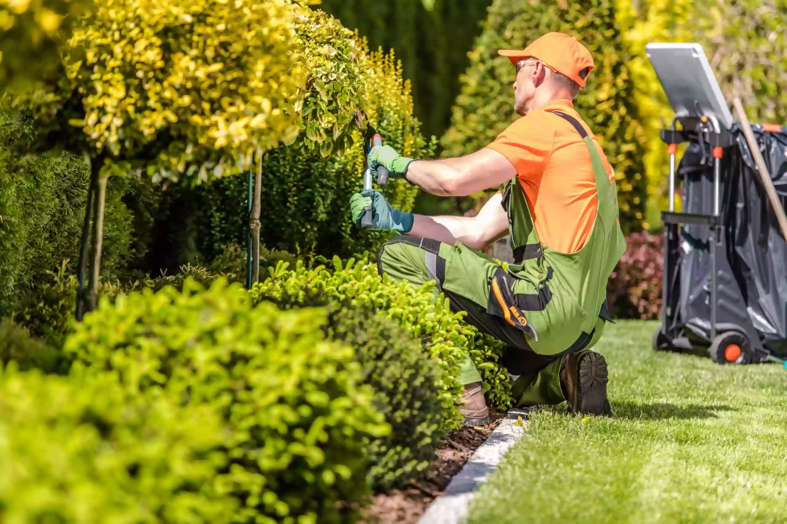 Green Service Ostia | Disinfestazioni, Igienizzazioni, Sanificazioni