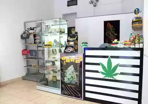 Weed Shop cbd