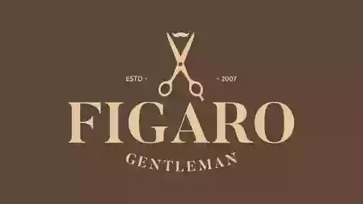 Barberia Figaro Gentleman