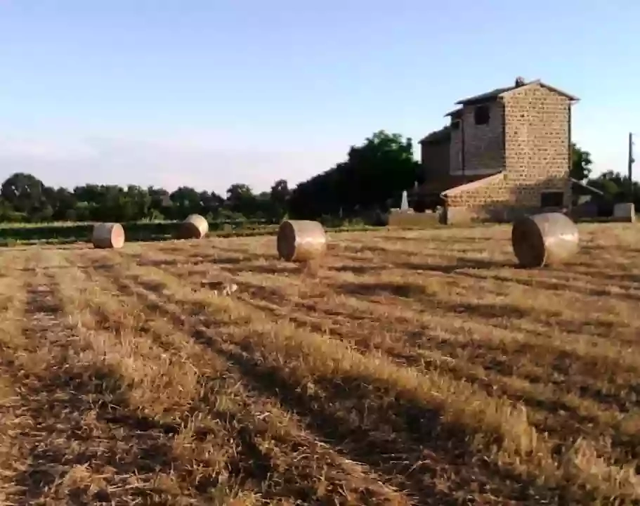 Casale Monte Dell' Oca