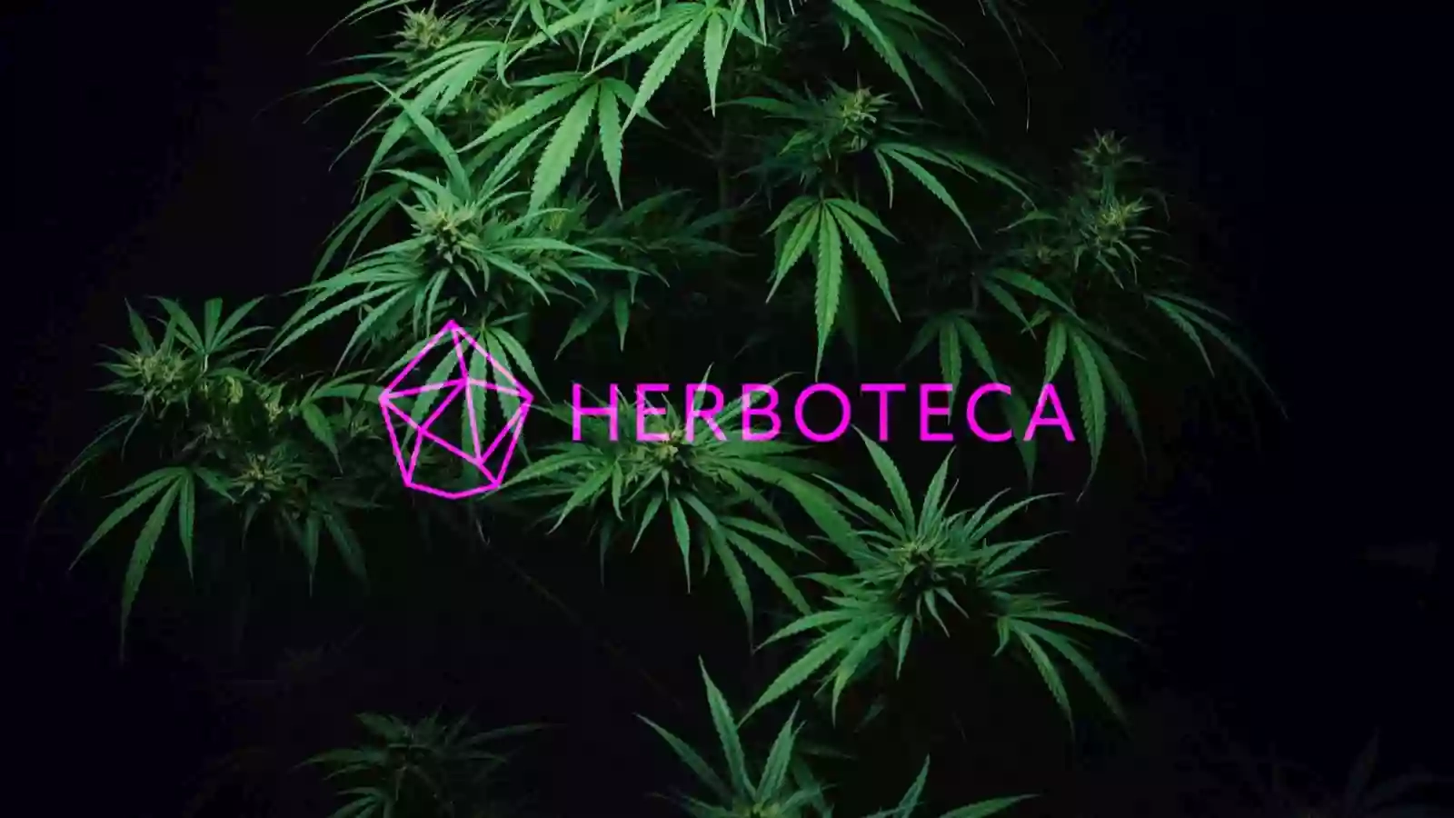 Herboteca - Cannabis Light Roma, erba legale Roma, consegna a domicilio, delivery CBD