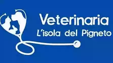 Veterinaria L'isola del Pigneto Roma